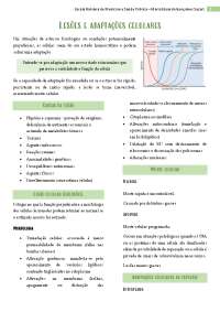 Lesões e adaptações celulares
