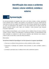criação 2d e 3d unibta digital