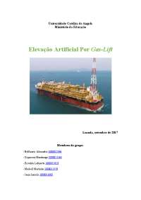 Elevação Artificial por Gas Lift