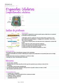 ORGANELAS E COMPARTIMENTOS CELULARES