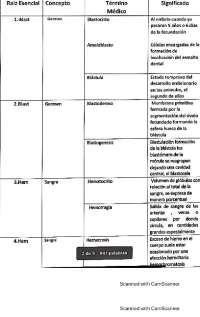 Sistema hematico de componentes de la sangre sus funciones sus características y etc