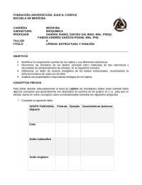 Lípidos: Estructura y Función