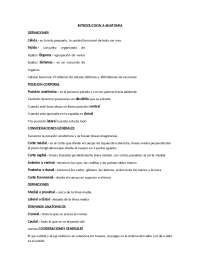 Introducción a la Anatomía Humana: Conceptos Básicos y Terminología