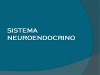 Sistema Neuroendocrino: Funcionamiento, Glándulas y Hormonas