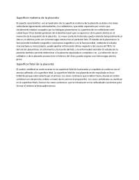 Anatomía y Función de la Placenta: Superficie Materna y Fetal