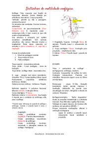 DISTÚRBIOS DE MOTILIDADE ESOFÁGICA