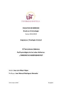 Perfil Psicológico de los Lobos Solitarios y terroristas islámicos.
