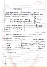 The notes are about what the inflorescence is and it's types