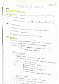 Resúmenes para estudiar de juego infantil y su metodología