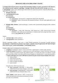 Biologia dello scheletro umano