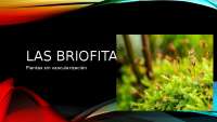 Las biofritas, desarrollo y evolución.