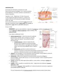 Riassunti Dermatologia e Chirurgia Plastica