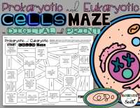 Biology Maze Freshmen Class