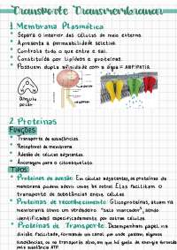 Biologia e Bioquímica Humana: Transporte Transmembranar