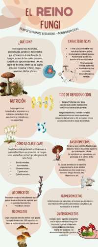 Infografía del Reino fungi