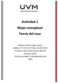 MAPA CONCEPTUAL TEORIA DEL CASO