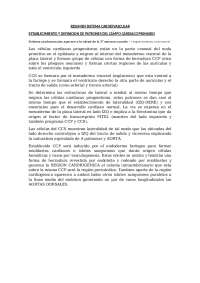 Formación del Sistema Cardiovascular: Un análisis detallado