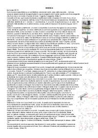 Appunti su statica delle strutture