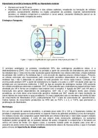 Resumo de hiperplasia prostática benigna