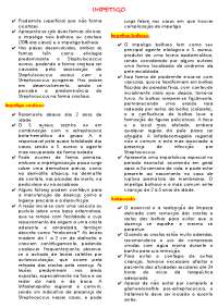 Resumo de impetigo crostoso e bolhoso