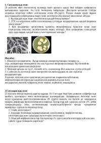 Сексуалды қыздардың суреттері