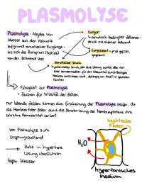 Plasmolyse und Deplasmolyse