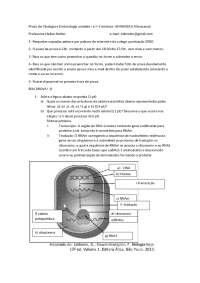 Prova de Citologia e Embriologia: Unidade I e II - Farmácia - UNINASSAU Maracanaú