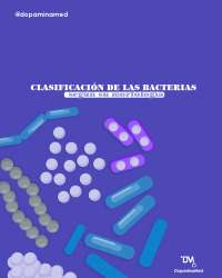 bacterias fichasconceptuales descriptivas