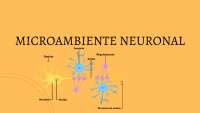 Mapa mental - microambiente neuronal