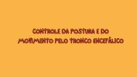 Mapa mental - Controle postural