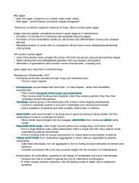 Algae Descriptions and Eukaryote groups