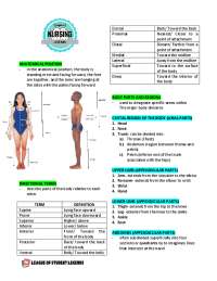 Anatomy Basics: Position, Terms, Regions, Planes, Cavities