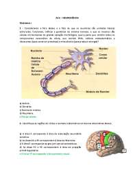 neuro AVA UNIP questionario 1 tele aula