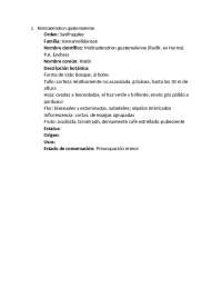 Fichas segunda parte del laboratorio