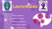 FAMILIA FLAVIVIRIDAE