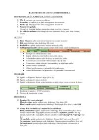 PASOS SIG DE EJERCICIO EN CLASE