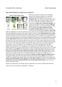 Fisiologia cellulare e molecolare delle piante
