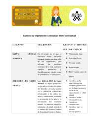 Ejercicio de organización Conceptual Matriz Conceptual