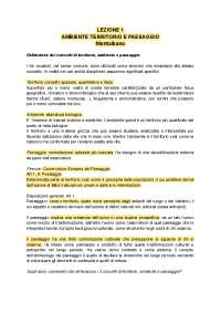 VIDEOLEZION I DI ANALISI DEL TERRITORIO E GIS