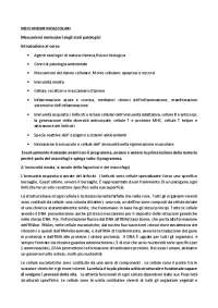 Appunti di Immunologia: Morte Cellulare, Immunità Innata e Acquisita - Prof. Vallorani