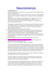 Principi di comunicazione: Riassunto del libro "dalla paura alla parola"