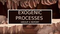 Exogenic Processes Earth Science