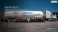 Propósito Organizacional y Diseño Estructural de TRANSMDICAS SRL - Prof. Espinoza