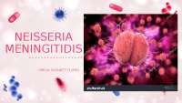 Neisseria Meningitidis: Fisiología, Estructura, Patogenia e Inmunidad