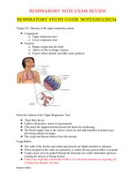 Respiratory System Anatomy and Upper Respiratory Tract Conditions