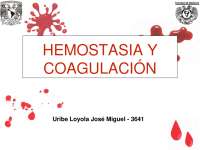 Hemostasia y Coagulación: Un Resumen Completo con Pruebas Diagnósticas