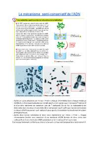 mecanismes de replications