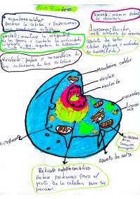 Apunte de química para revisar