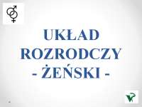 Układ rozrodczy żeński