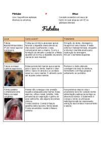 Fístulas e seus tratamentos em animais